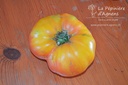Tomate à fruis charnus 'Ananas'