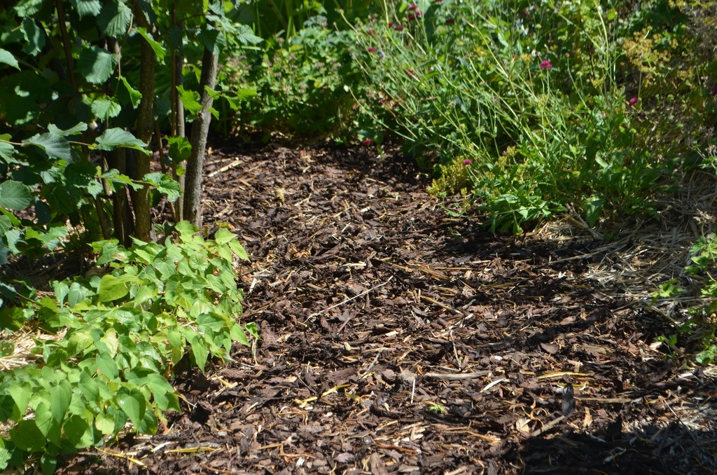 Paillage écorces de couverture - La Pépinère d'Agnens