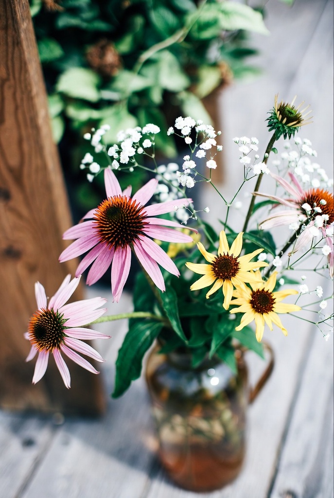 Assortiment plantes pour fleurs coupées (bouquet)