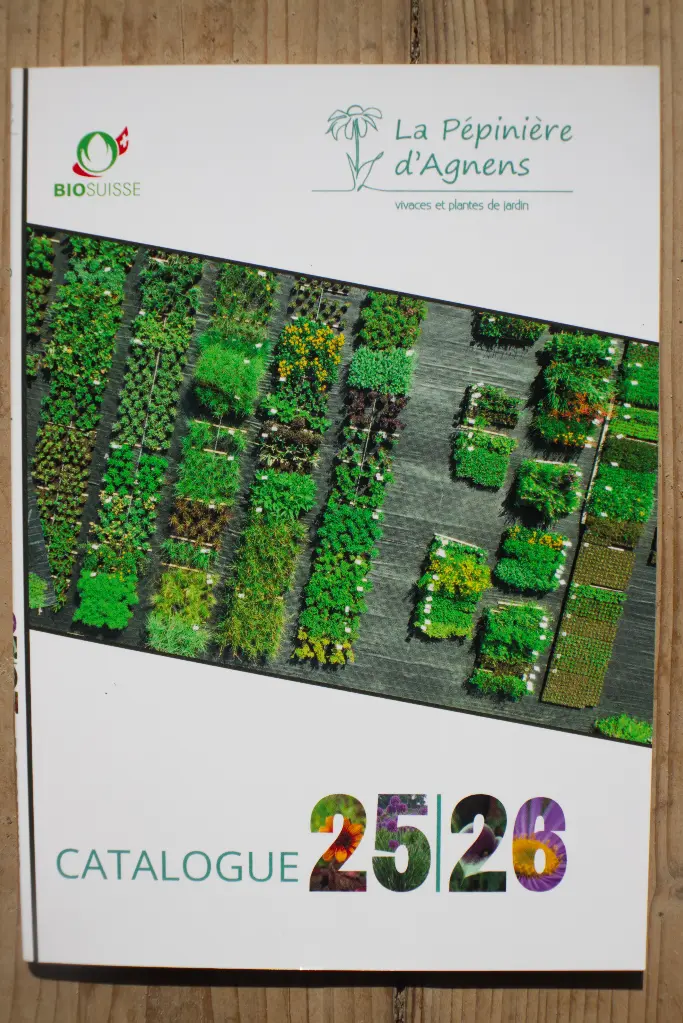 Catalogue 2025-2026