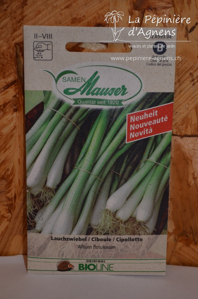 Oignons nouveaux Ciboule