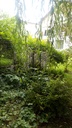 Assortiment plantes pour bac ombre