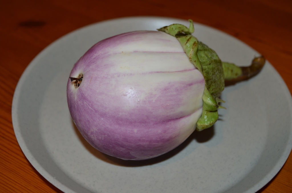 Aubergine cultivar 'Rotonda Bianca' (Bio)