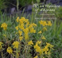 Euphorbia pekinensis