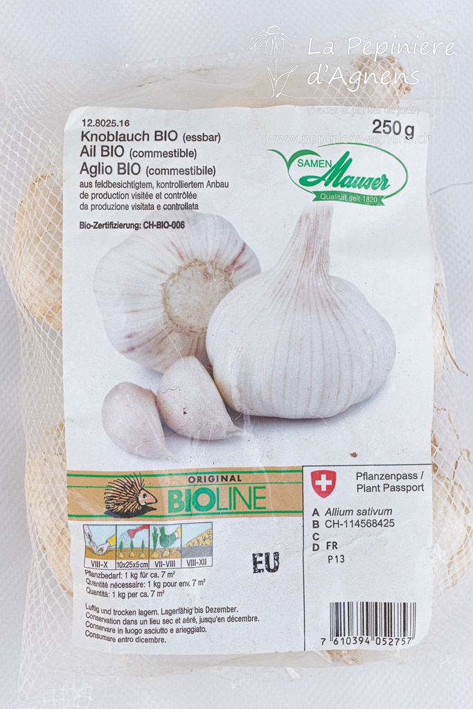 Ail à planter (Bio)