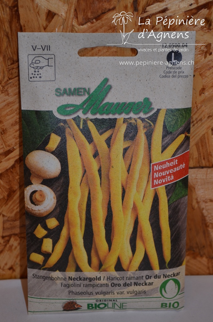 Haricot à rame 'NeckarGold'