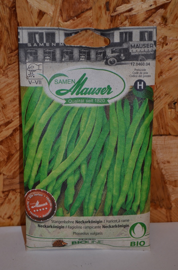 Haricot à rame 'Neckarkönigin'
