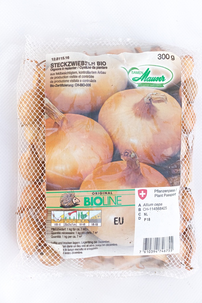 Oignon à planter (Bio)