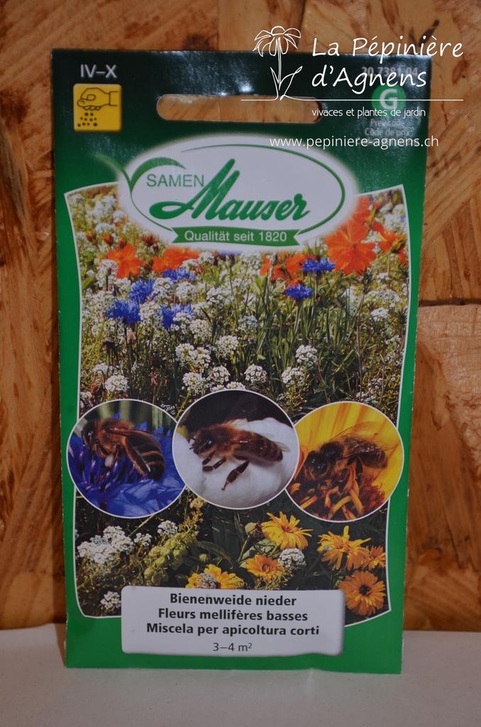 Fleurs mellifères basses