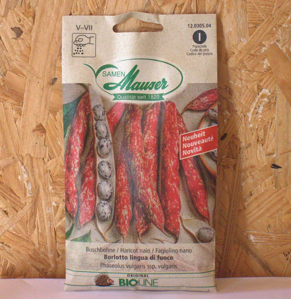 Haricot nain 'Borlotto Lingua di fuoco'