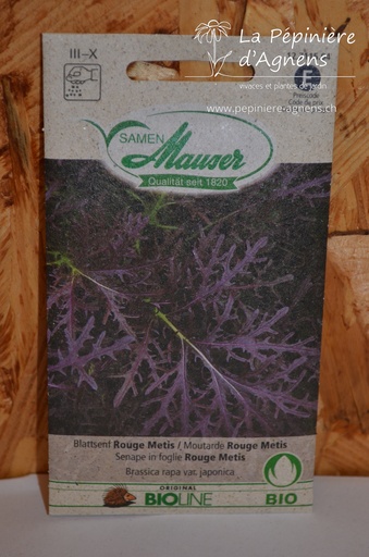 Moutarde rouge 'Metis'
