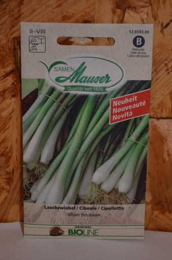 Oignons nouveaux Ciboule