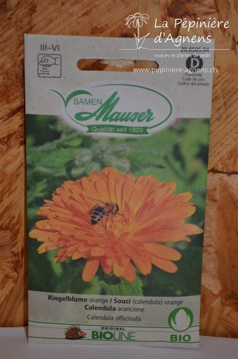 Souci des jardin