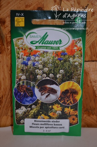 Fleurs mellifères basses