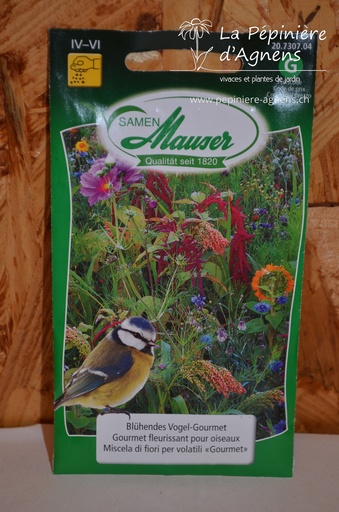Gourmet fleurissant pour oiseaux