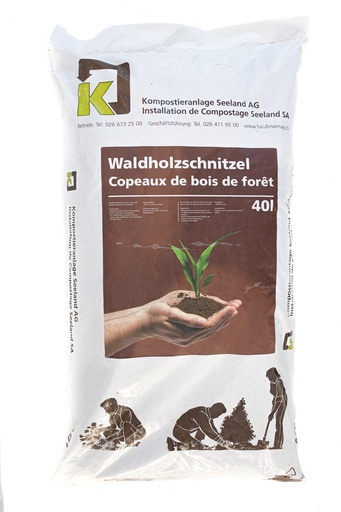 Copeaux de bois de forêt