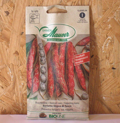 Haricot nain 'Borlotto Lingua di fuoco'