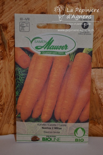 Carotte Nante 2 Milan