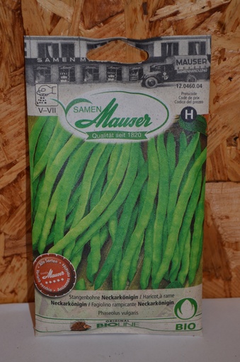 Haricot à rame 'Neckarkönigin'