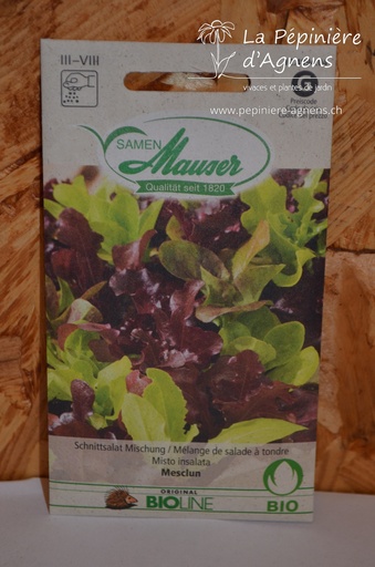 Salade à tondre Mesclun