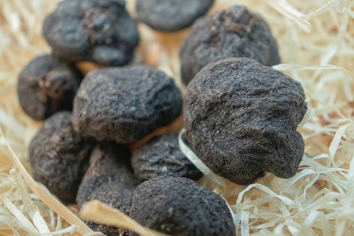 Anemone blanda 'Blue Shades'